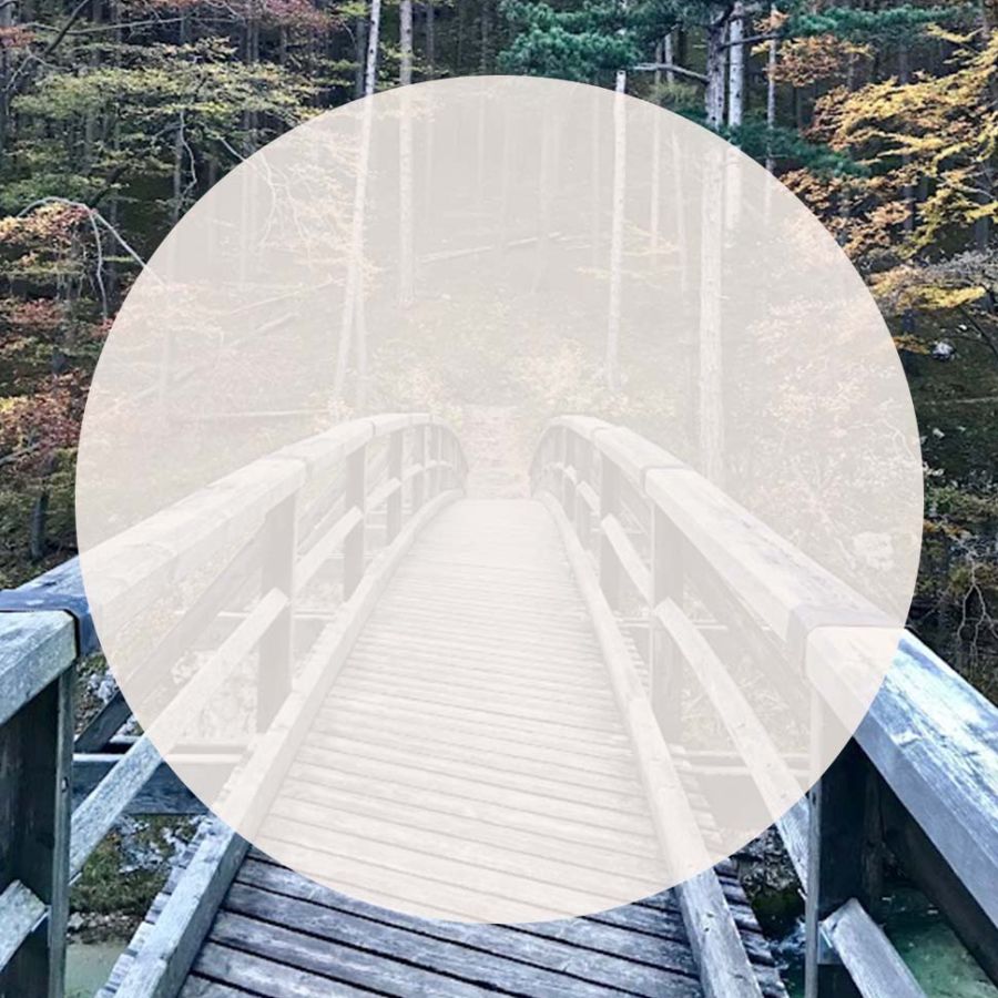 Brücke - Stärkung der Identität, Bedeutung von Werten und Wertvorstellungen sowie die Verwirklichung von Träumen und Zielen durch Coaching - Dr. Sabine Tschugguel in 1010 und 1190 Wien